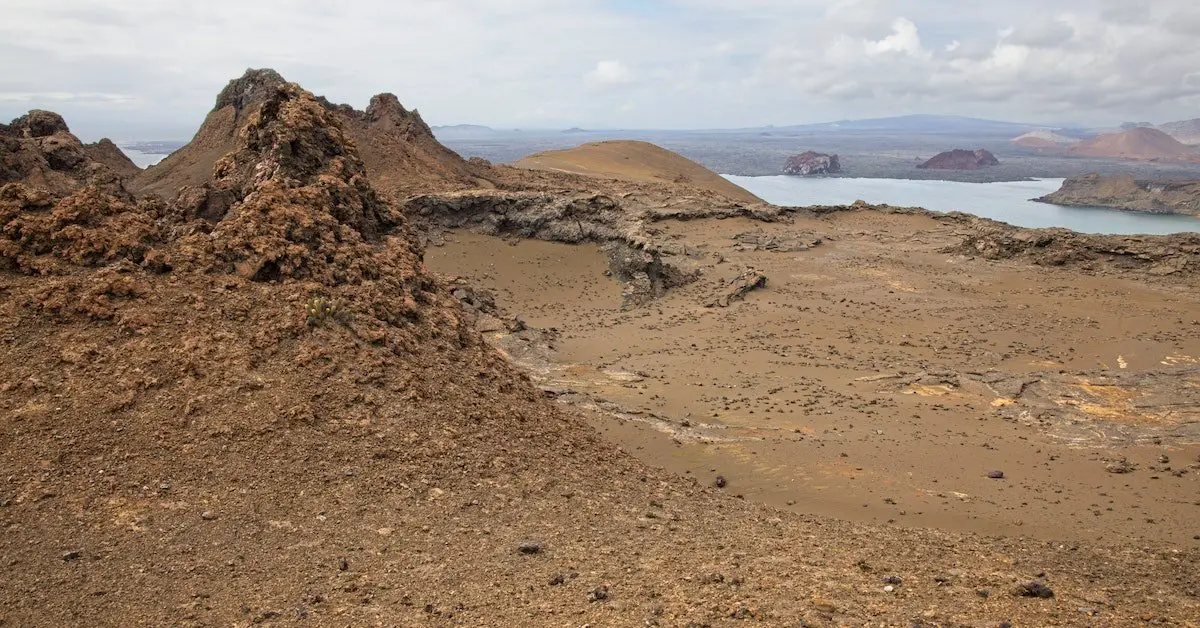 The Best Time to Visit the Galapagos