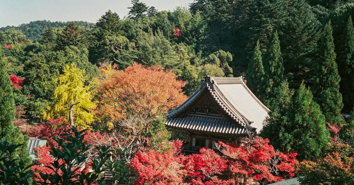 Best time to visit Japan