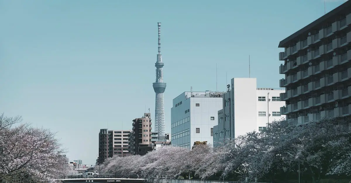 Best time to visit Tokyo